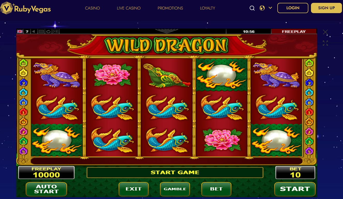 Wild Dragon at Ruby Vegas