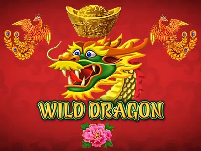 Play Wild Dragon Slot by Amatic