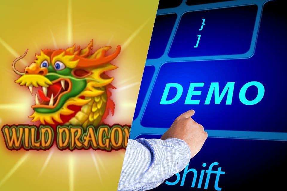 Play Wild Dragon Demo online
